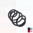 ESPIRAL TRASERO NISSAN TIIDA 1.6 TODOS 06-14 - Imagen 2
