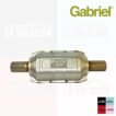 Catalitico bencinero ovalado 2 pulgadas GABRIEL MX